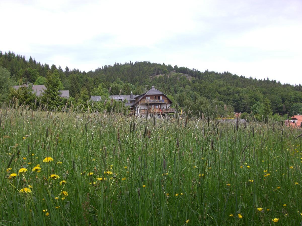 Hotel Dachsberger-Hof Wittenschwand Екстер'єр фото