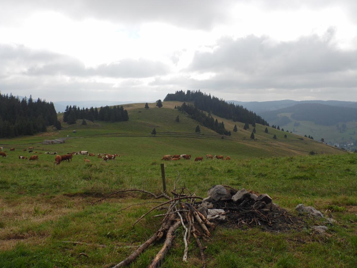 Hotel Dachsberger-Hof Wittenschwand Екстер'єр фото