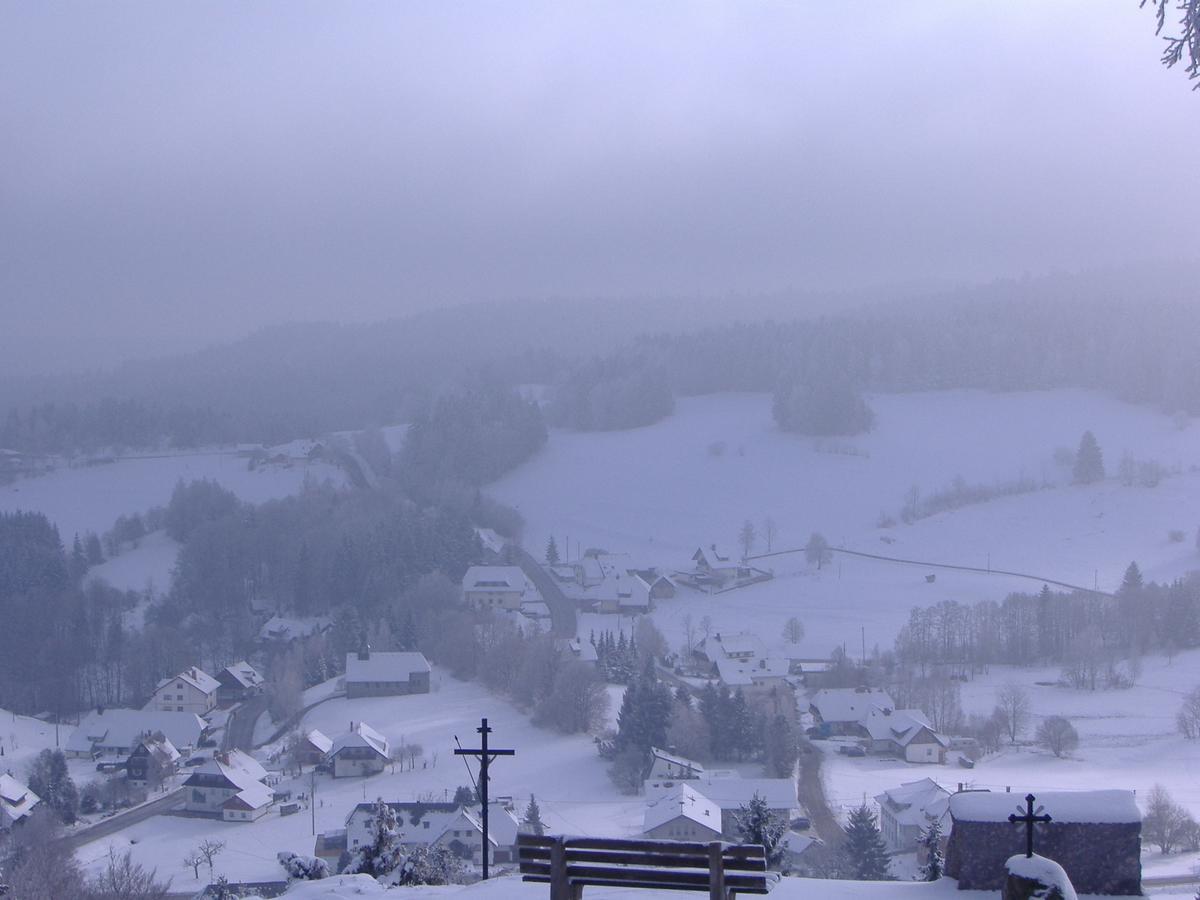 Hotel Dachsberger-Hof Wittenschwand Екстер'єр фото